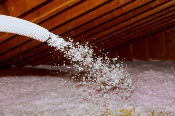 Best Commercial Insulation in Orida Gulf Coast University, FL