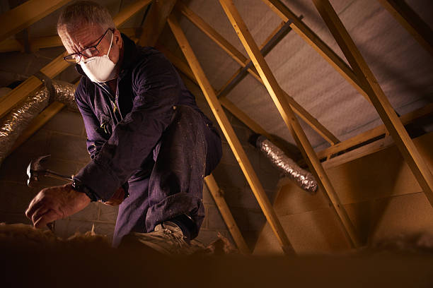 Best Insulation Materials and Products in Orida Gulf Coast University, FL